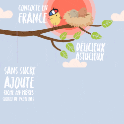 motion-holibelly-ulule